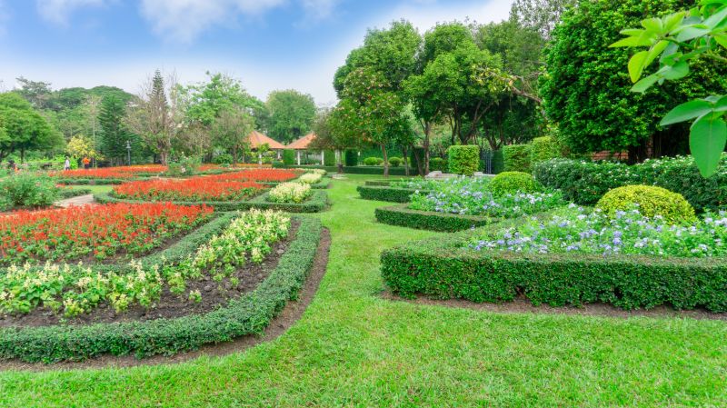 Completed Shrub Borders