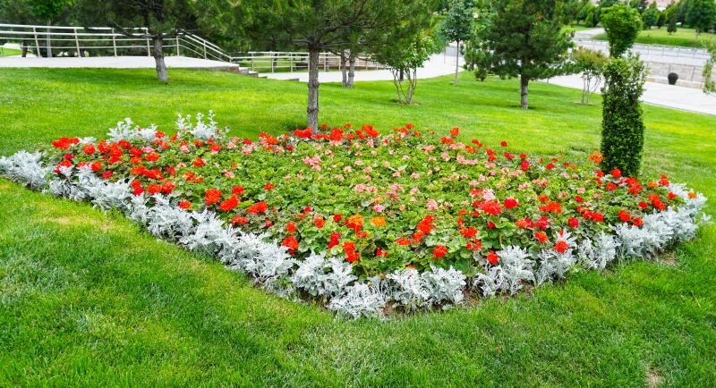 Seasonal Color Accents