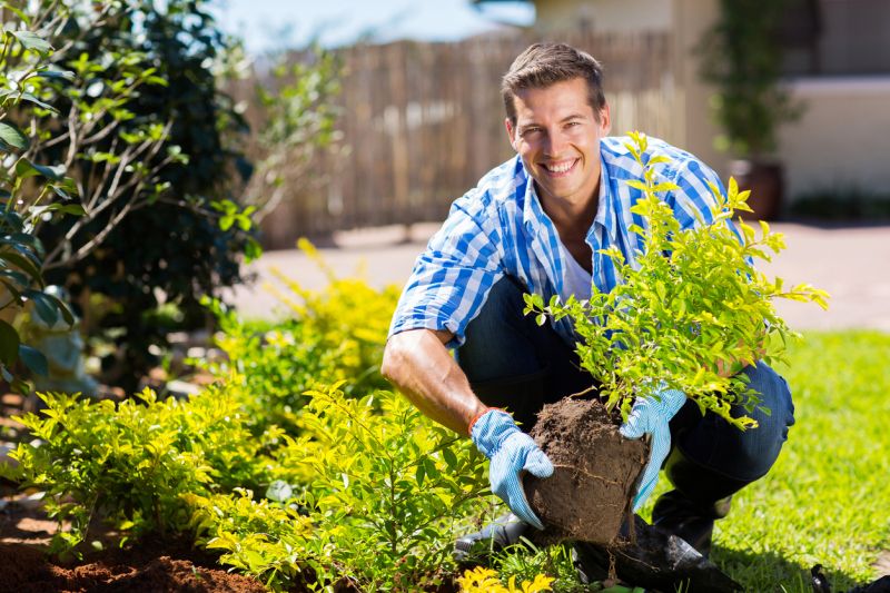 Contact About Shrub Planting